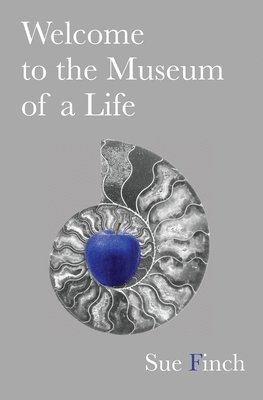 Sue Finch - Welcome to the Museum of a Life, Häftad