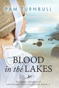 bokomslag Blood in the Lakes