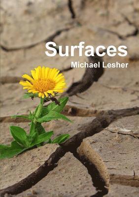 Michael Lesher - Surfaces, Häftad