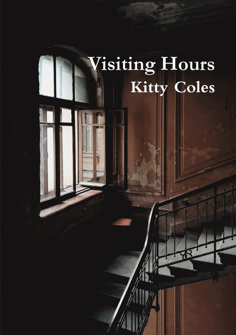 Kitty Coles - Visiting Hours, Häftad