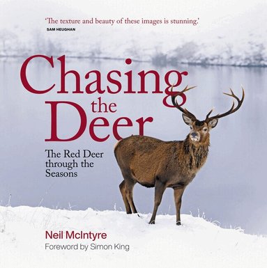 Neil McIntyre - Chasing the Deer, Inbunden