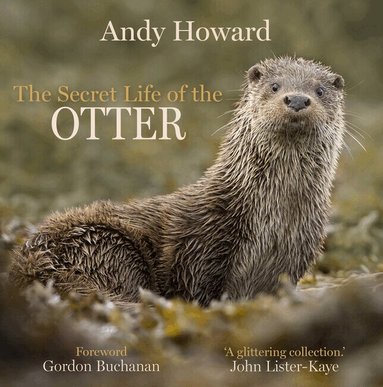 Andy Howard - Secret Life of the Otter, Inbunden