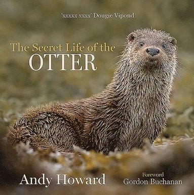 bokomslag The Secret Life of the Otter