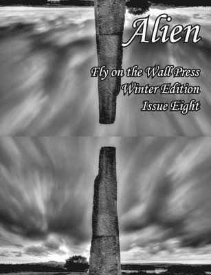 bokomslag Alien: Fly on the Wall Magazine