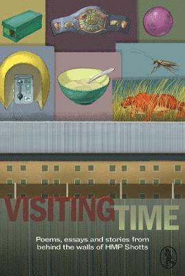 bokomslag Visiting Time