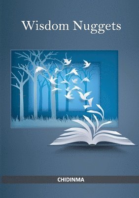 bokomslag Wisdom Nuggets