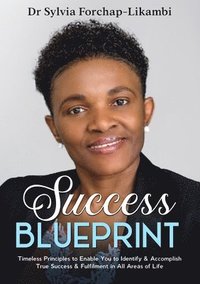 bokomslag Success Blueprint