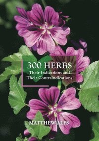 bokomslag 300 Herbs