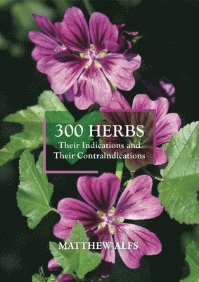 bokomslag 300 Herbs