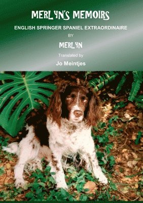 bokomslag Merlyn's Memoirs