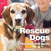 bokomslag Rescue Dogs