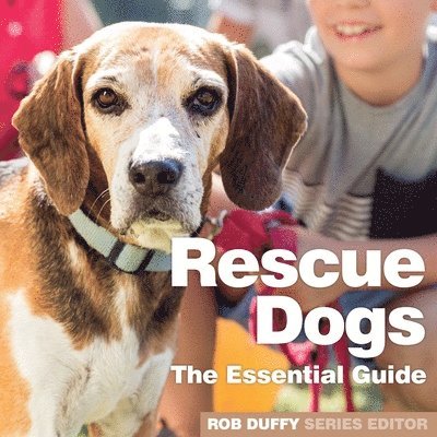 Rescue Dogs 1