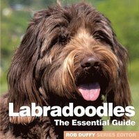 bokomslag Labradoodles