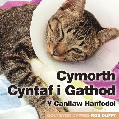 Cymorth Cyntaf i Gathod 1