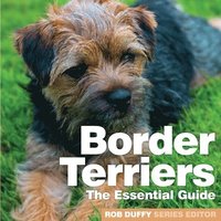 bokomslag Border Terriers