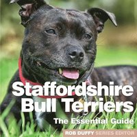 bokomslag Staffordshire Bull Terriers