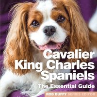bokomslag Cavalier King Charles Spaniels