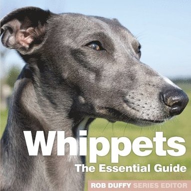 bokomslag Whippets