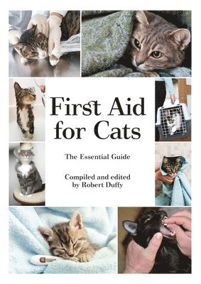 Robert Duffy - First Aid For Cats, Häftad