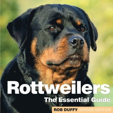 bokomslag Rottweilers