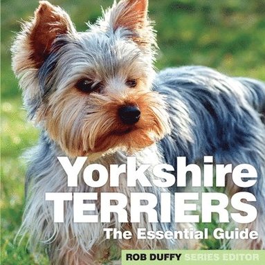 bokomslag Yorkshire Terriers