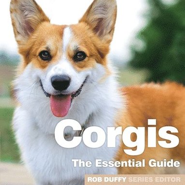 bokomslag Corgis