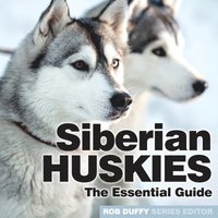 bokomslag Siberian Huskies