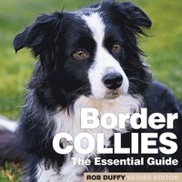 bokomslag Border Collies