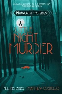 bokomslag A Little Night Murder