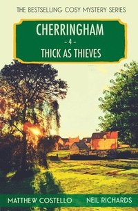 bokomslag Thick as Thieves