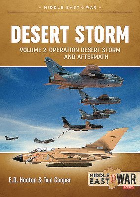 bokomslag Desert Storm Volume 2