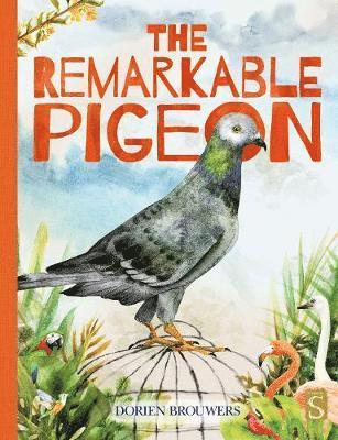 bokomslag The Remarkable Pigeon