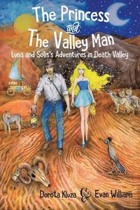 bokomslag The Princess And The Valley Man