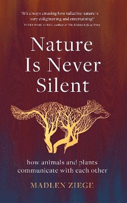bokomslag Nature Is Never Silent
