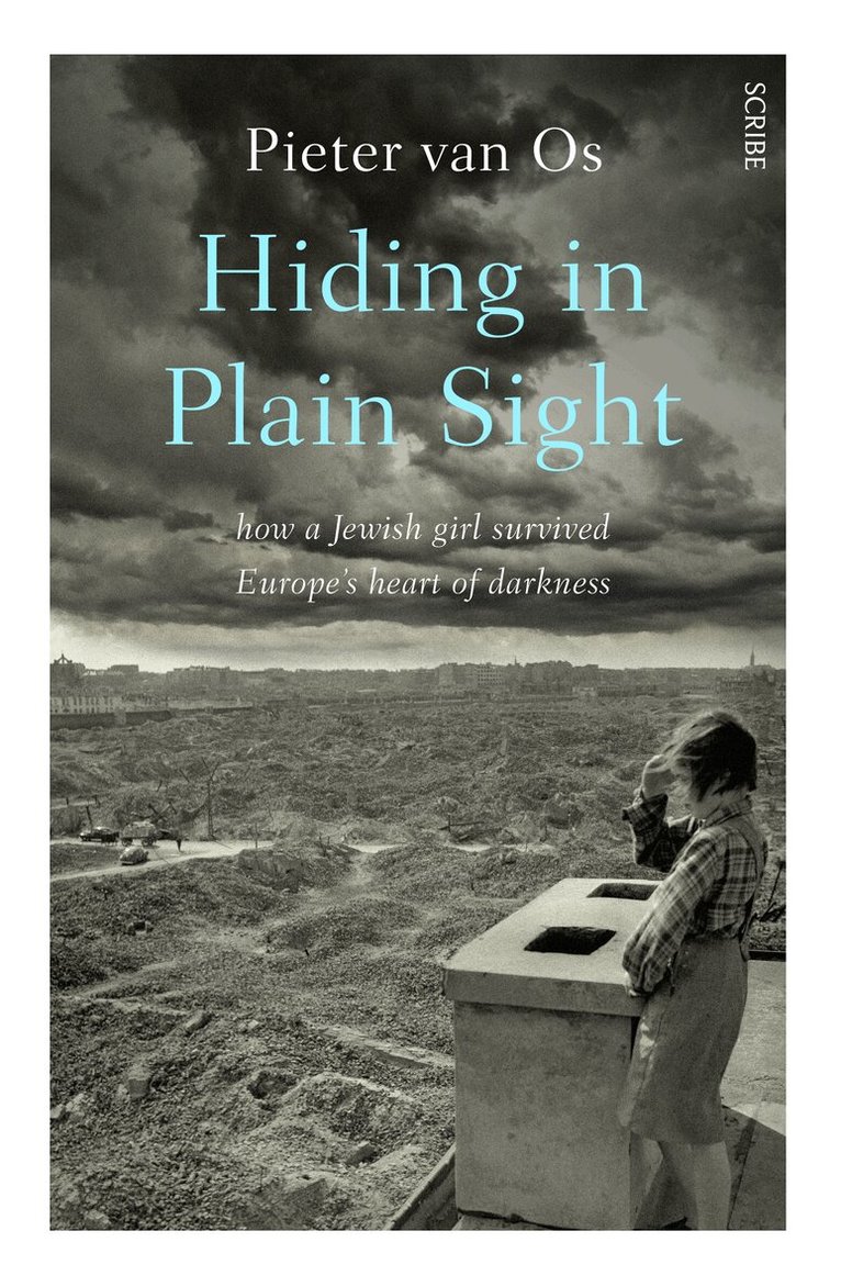 Pieter van Os - Hiding in Plain Sight, Häftad