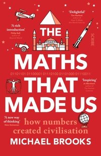 bokomslag The Maths That Made Us