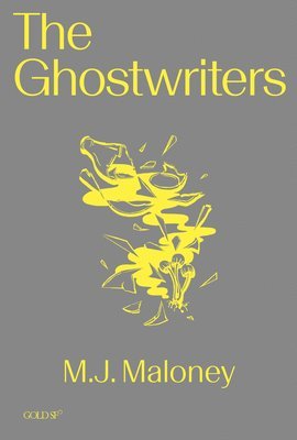 bokomslag Ghostwriters