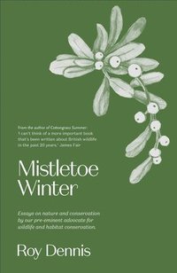 bokomslag Mistletoe Winter
