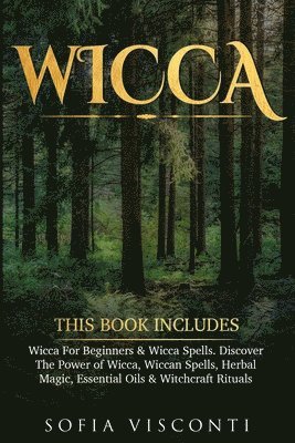 bokomslag Wicca