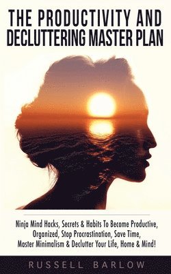 Productivity & Decluttering Master Plan