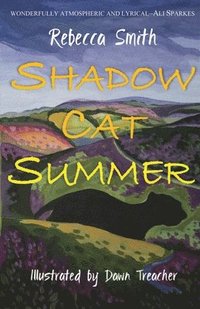 bokomslag Shadow Cat Summer