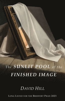 Sunlit Pool of the Finished Image