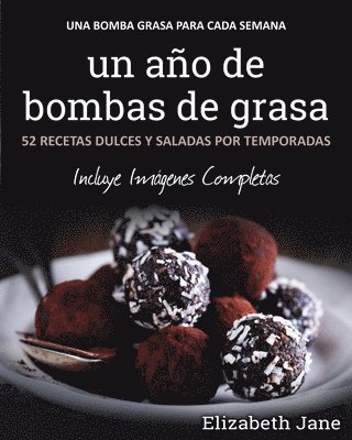 bokomslag año de bombas de grasa
