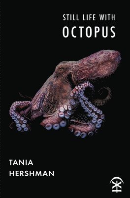 Still Life With Octopus 1