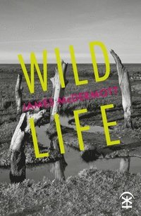 bokomslag Wild Life