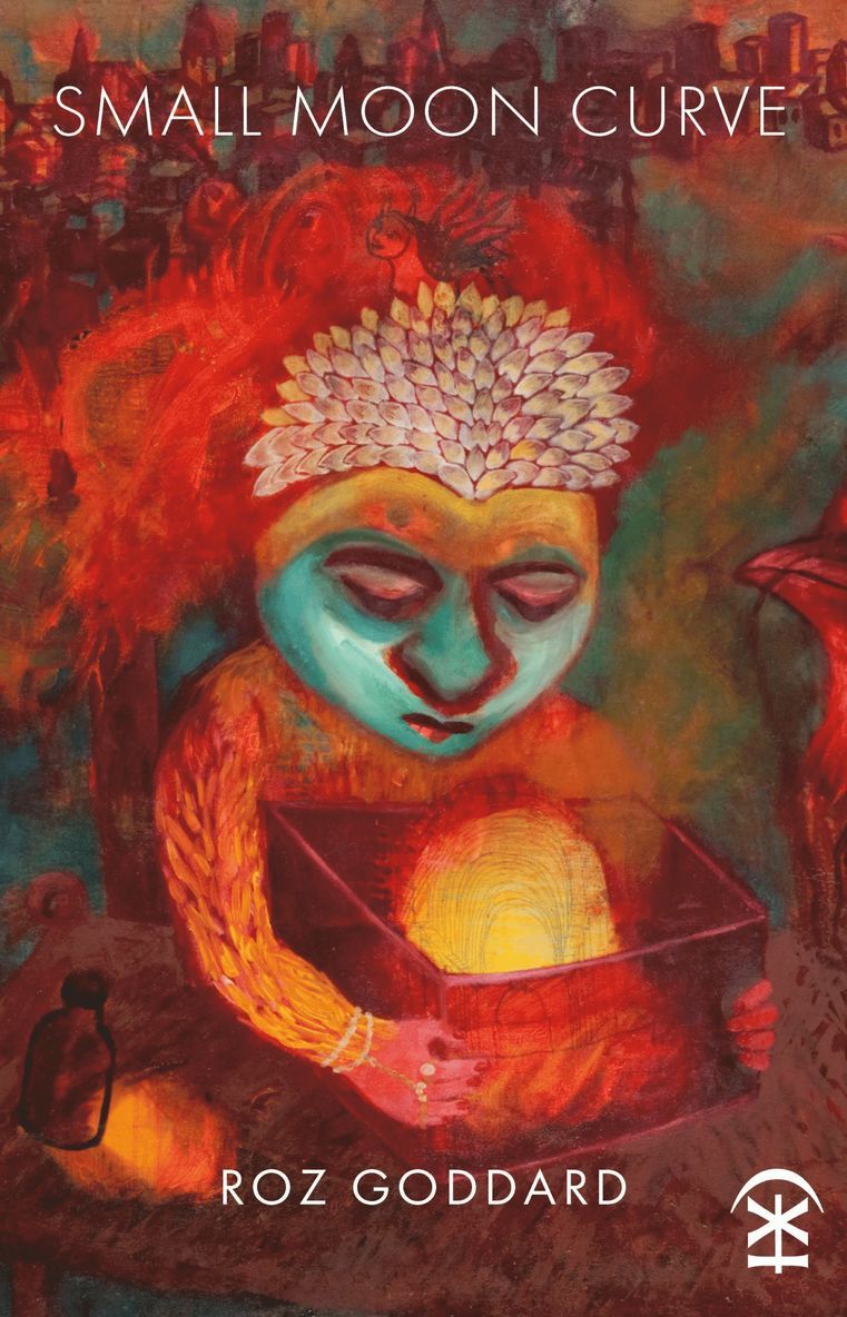 Roz Goddard - Small Moon Curve, Häftad