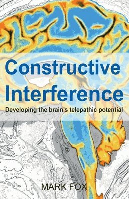 bokomslag Constructive Interference