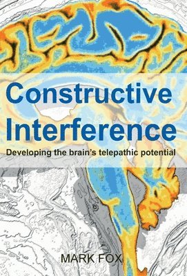 bokomslag Constructive Interference