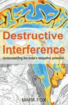 bokomslag Destructive Interference