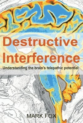 bokomslag Destructive Interference